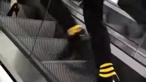 Гиги за шаги ( 1 час )