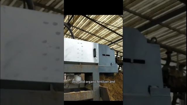 Cow manure solid-liquid separator treatment in dairy farm