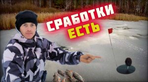 Жерлицы. Рыбалка на жерлицы на щуку. Клёв рыбы есть.mp4