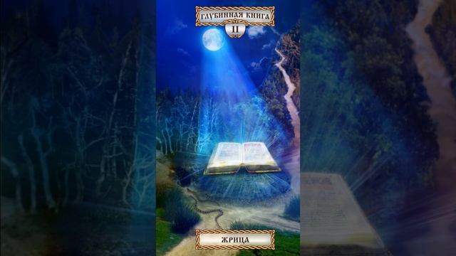 Жрица-Глубинная Книга. Ответы Славянских Богов. Читает Наталья Сиренко. смотреть онлайн