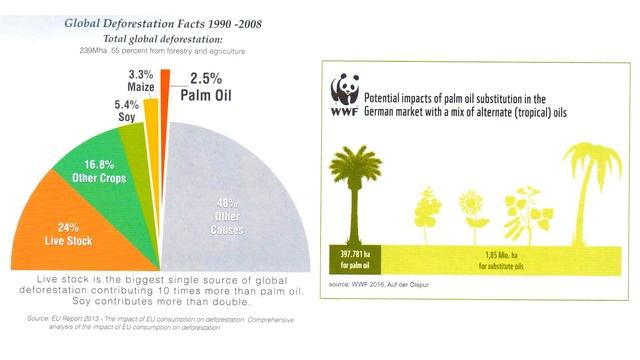 Palm Oil Facts and Figures - Sustainable Palm Oil