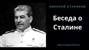 Николай Стариков о Сталине Посмотри!!!