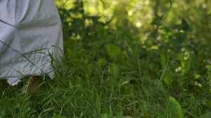 9309695-uhd_3840_2160_25fps