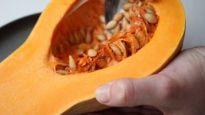 4110311-hd_1920_1080_25fps