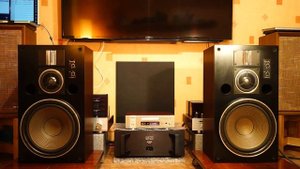 Victor Zero 5 vs Triode TRX-88PP