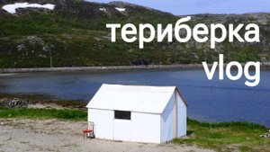 ТЕРИБЕРКА летом / Реально ли встретить КИТОВ? / влог