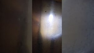 Обработка пчёл или с лёгким паром варроатоз.