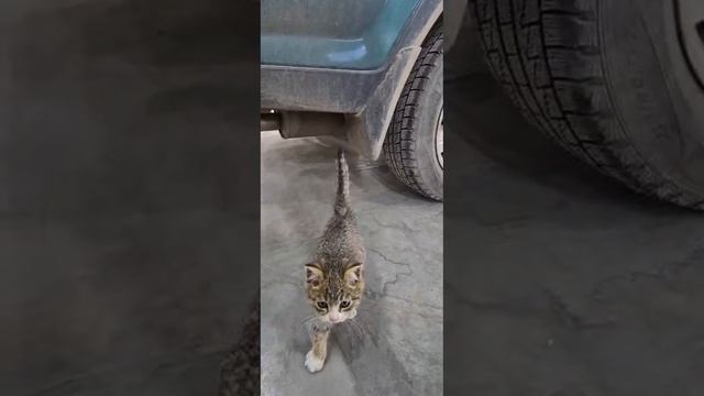 Рабочие моменты 😺