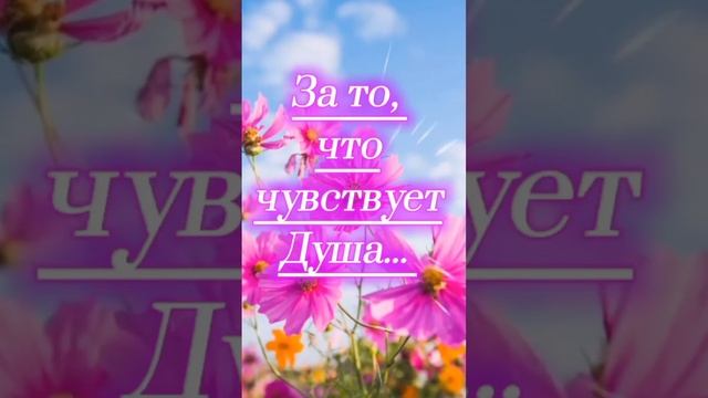 Доброе воскресное утро! смотреть онлайн