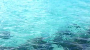 Sea Kayk Malta или "Как я сплавлялся ... без "Каньона"