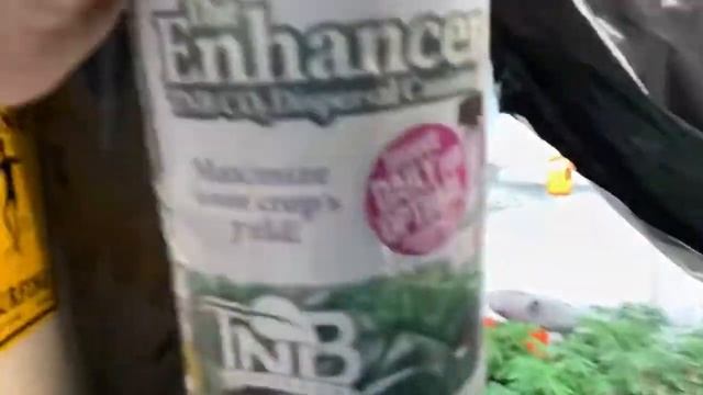 Cheflife420 - Good morning lady’s - TNB Naturals Grower #tnbnaturals #teamtnb