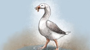 Михаил Зощенко. Рассказы для детей. Умные животные. Умный гусь.