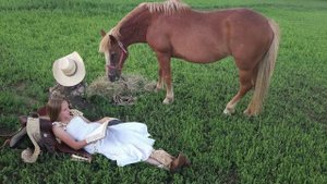 18112697-hd_1920_1080_30fps