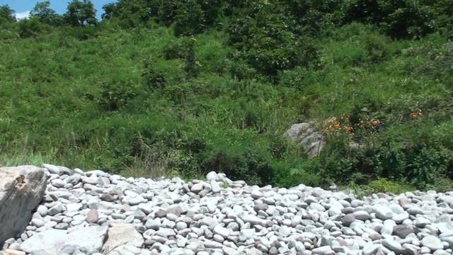 Коттедж Робинзона Крузо на Дальнем Востоке. Юмор. Супер видео смотреть онлайн