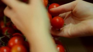 853773-hd_1920_1080_30fps