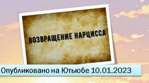 Возвращение нарцисса (10.01.2023)