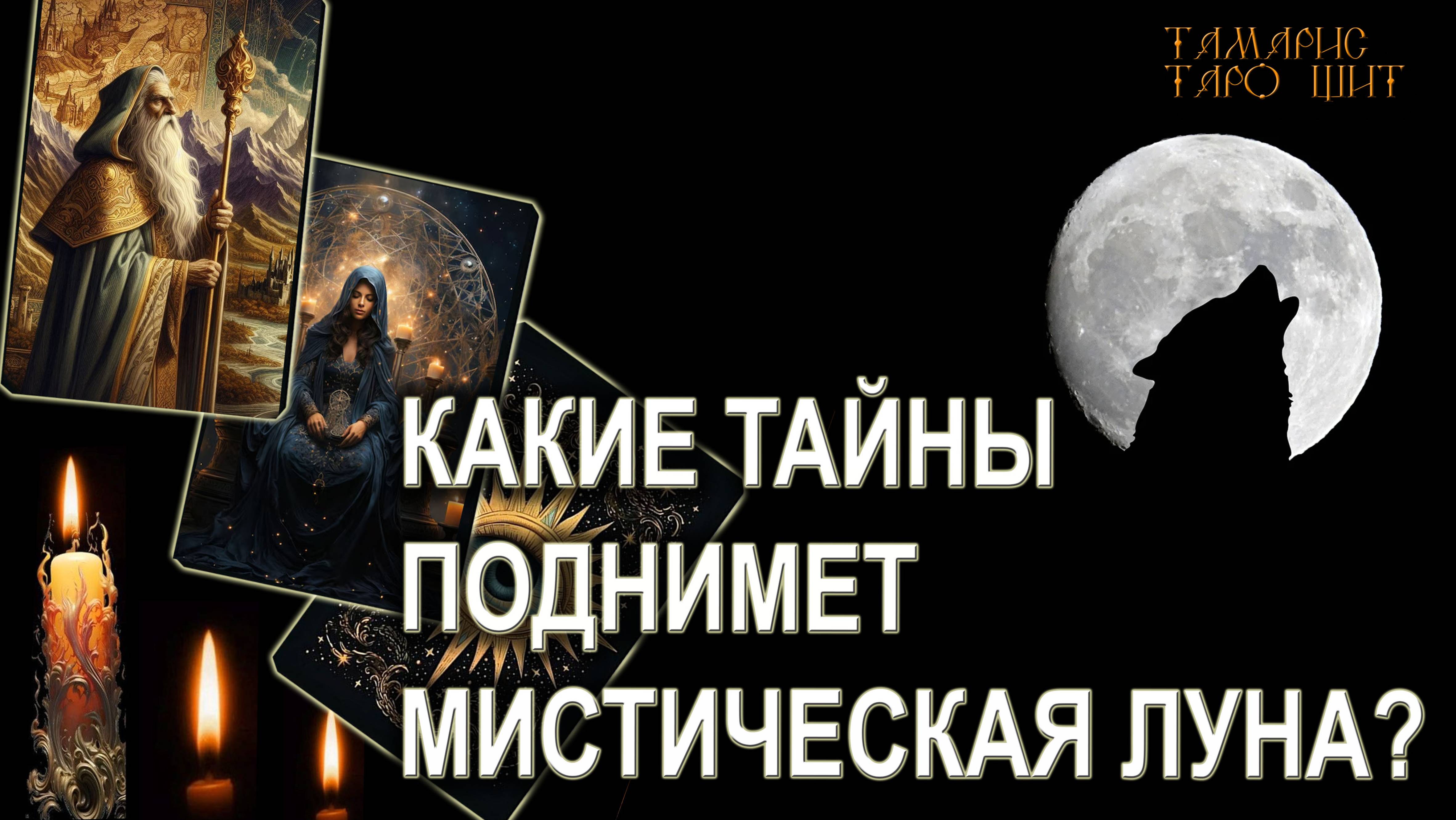 Тамарис таро щит последние расклады