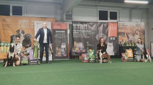 30.11.2024, СПб. Клуб "Кентавр-1", СПб. Выставка собак "ФЕСТИВАЛЬ ПОРОД "СОДРУЖЕСТВО" (САС, ЧРКФ)