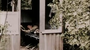 Первая Мировая в цвете. Часть 3: Кровь в воздухе