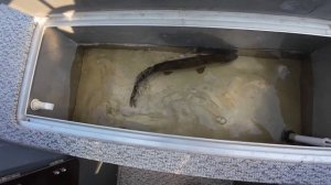 Иваньковское водохранилище ( Московское море) и канал им. Москвы