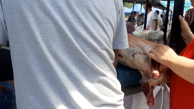 Коммунальный рынок в г Талдыкорган (06.07.2024г) смотреть онлайн