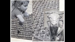 Оккультизм, трансгуманизм, бинарии и кубикуларии: выступление Игоря Шнуренко на канале "Концептуал"