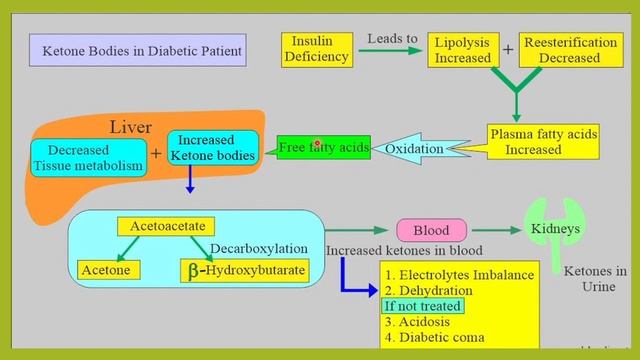 KETONURIA.KETONES IN  URINE TEST,CAUSES OF KETONURIA,DANGER IN DIABETEICS  IF KETONES POSITIVE.