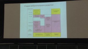 Лекция по гистологии. Эмбриогенез. Часть 1