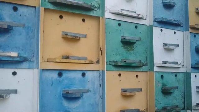 пчелоприцеп с ульями типа Павельона