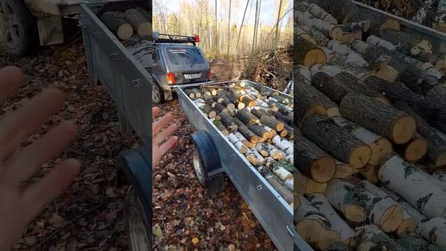 Продолжаем заготовку дров на Ниве Легенде! #рекомендации #нивалегенд #нива