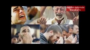 дилга якин кушиклар