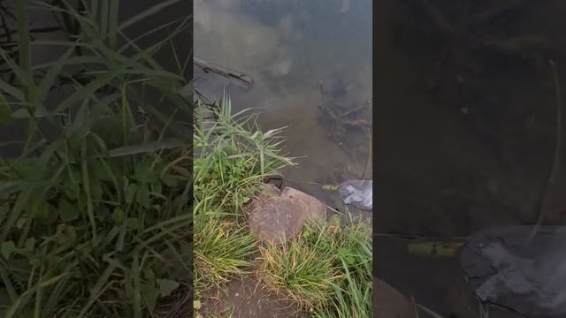 река / узкая река смотреть онлайн