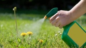 Пестицидтердің қоршаған орта мен адам денсаулығына әсері.Биология 9-сынып.