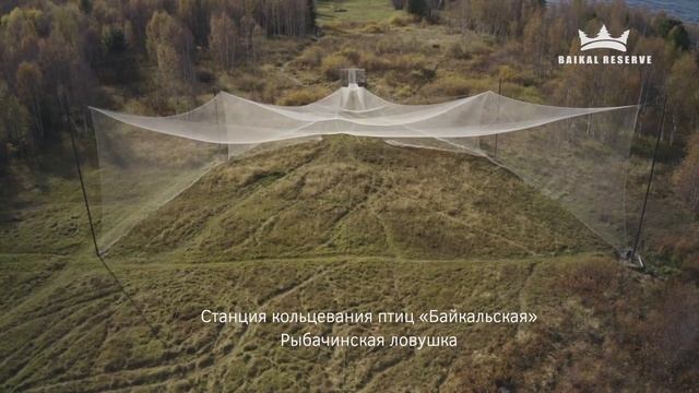 Байкал и Право. Развитие туризма на ООПТ смотреть онлайн