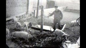 ЮГВ армейские рассказы Каруца из Сомбатхей