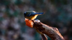 В набитом битком автобусе в бедро женщины уперлось что-то твёрдое. А когда она увидела что это было