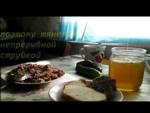 КАК отличить натуральный МЁД от "липового"?