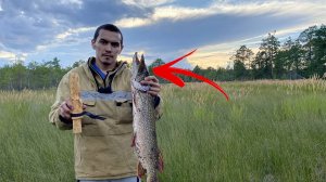 НЕ ожидал, Что Здесь Ловится ЩУКА!