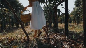 11760138-uhd_4096_2160_30fps