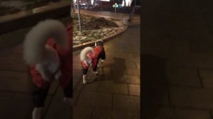 Вечер с Собакеном!