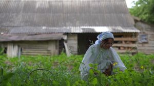 9309696-uhd_3840_2160_25fps