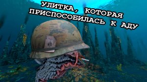 🐌БРОНЕУЛИТКА, ЖИВУЩАЯ В САМОМ ГИБЛОМ МЕСТЕ/ CHRYSOMALLON SQUAMIFERUM