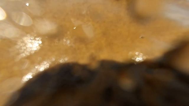 рыбинка full version смотреть онлайн