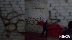 обзор на треи́н и мастику