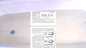 Блесна Шторлинг завода Военохот №4. История создания, игра блесны