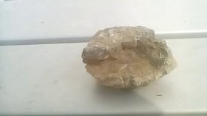 новость и идеи