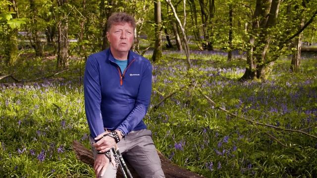 Future You Health Tumeric+ смотреть онлайн