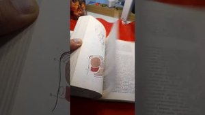 анатомия человека .сапина