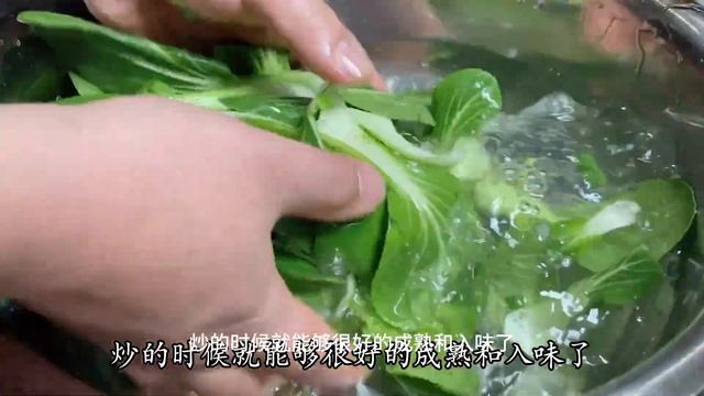 平菇炒油菜怎麼做好吃？大廚教你技巧，3分鐘炒一大盤，鮮香脆嫩【留意美食】#平菇炒油菜 #平菇炒油菜料理 #平菇炒油菜食譜 #平菇炒油菜的做法 #平菇炒油菜煮法