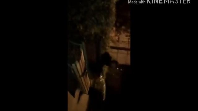 Эпик упал с лавочки смотреть всем!! смотреть онлайн